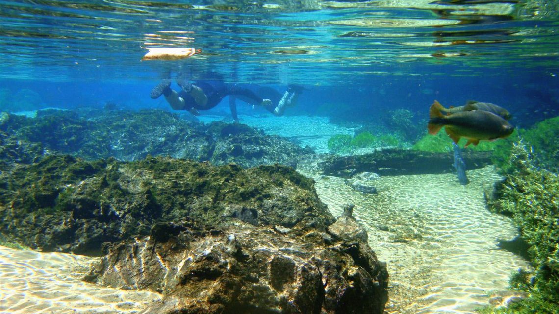 Bonito gay: beleza pura