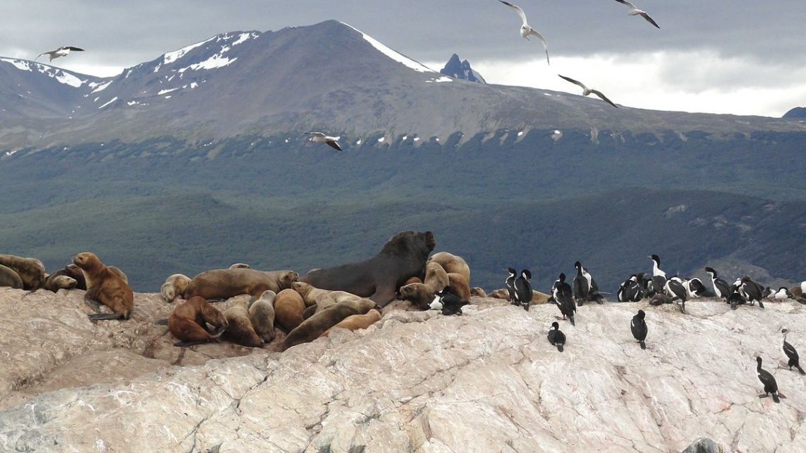 Ushuaia, explorando a cidade do fim do mundo