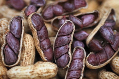 Amendoim - Foto: Cesar de Oliveira. Acervo EMSETUR